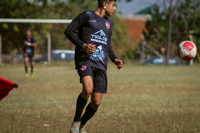 Liga Campineira, Sub 16 e Sub 14