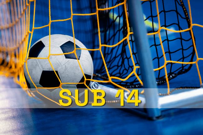 Viradouro-SP  X  Ibiraci-MG (Sub 14) 