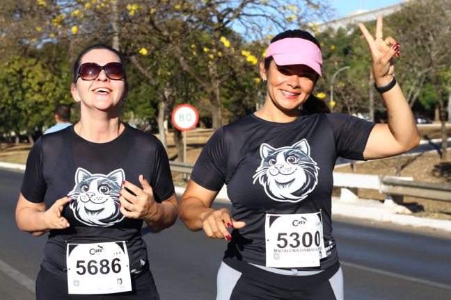 Cats Run DF 2024 - Brasilia 