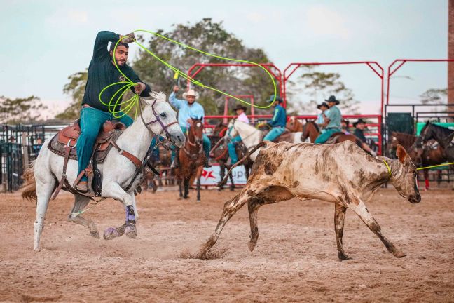 Prova Equestre Laço em Dupla