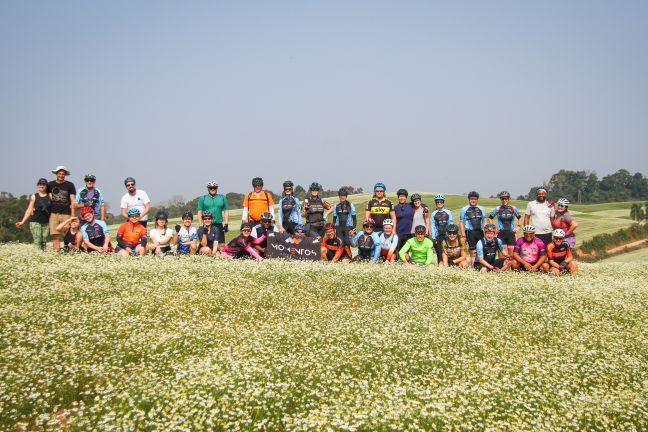 Rota das Camomila 