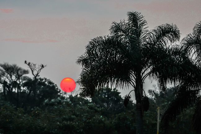 Treinos Parque São José Noite