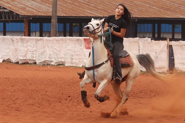 Montana  Academia Equestre