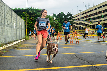 6ª SP Dog Run 2019 - São Paulo